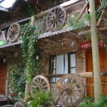 turkey