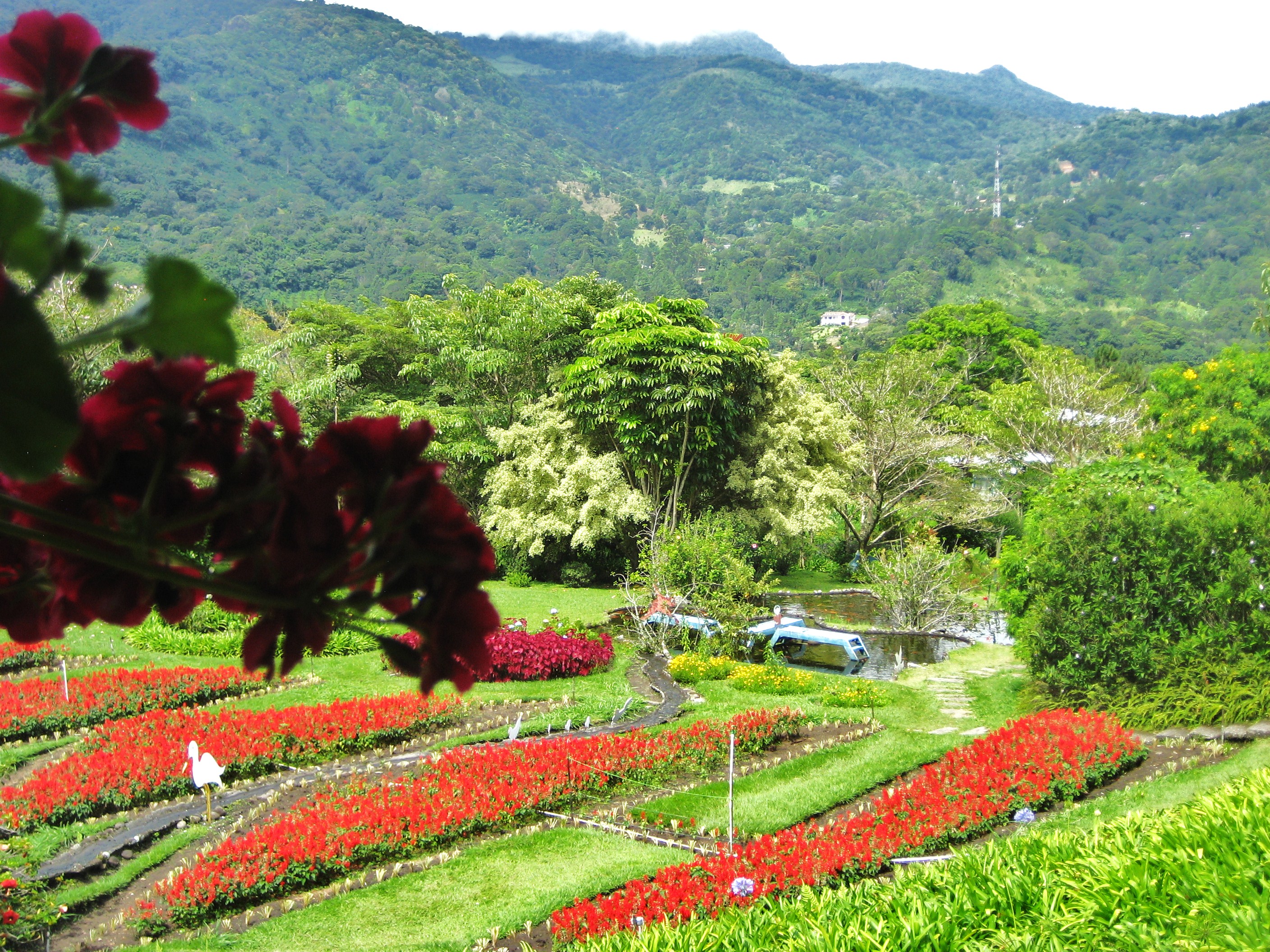 Boquete/waterfall hikes - Travels With Miha